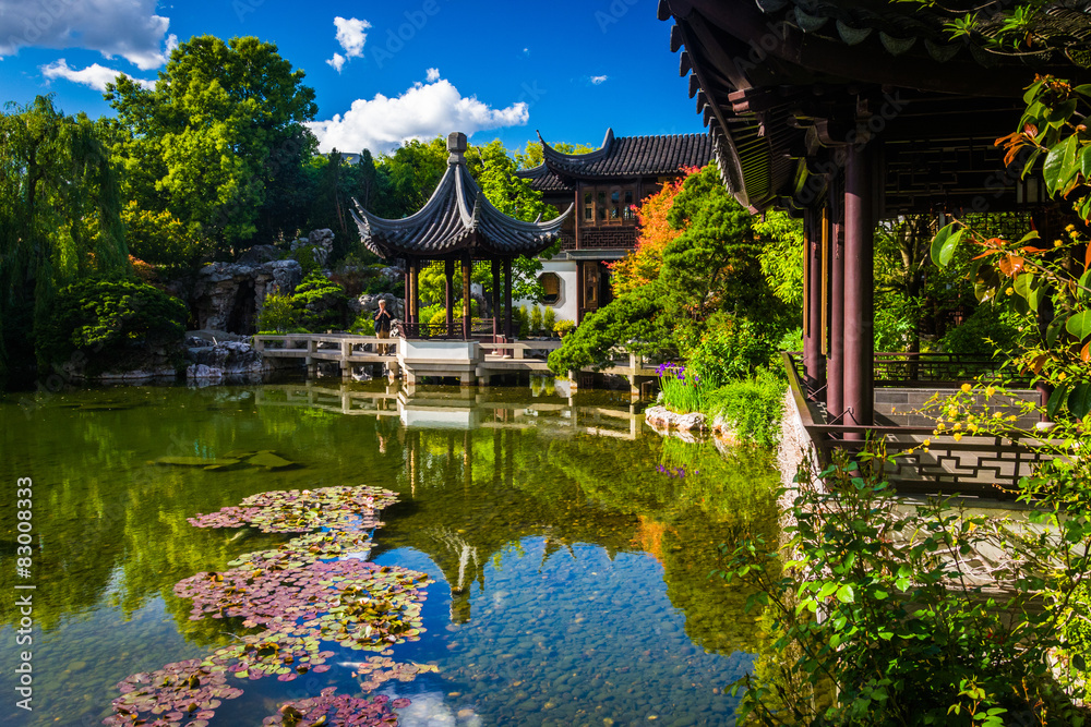 Fototapeta Pagoda and pond at the Lan Su Chinese Garden in Portland, Oregon