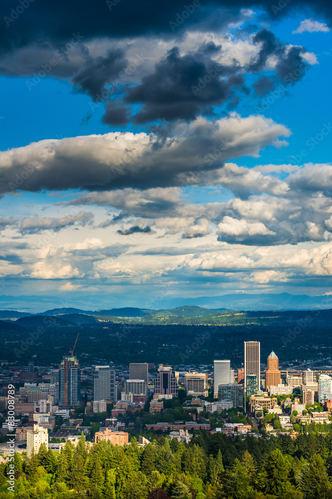 View of the Portland skyline from Pittock Acres Park, in Portlan