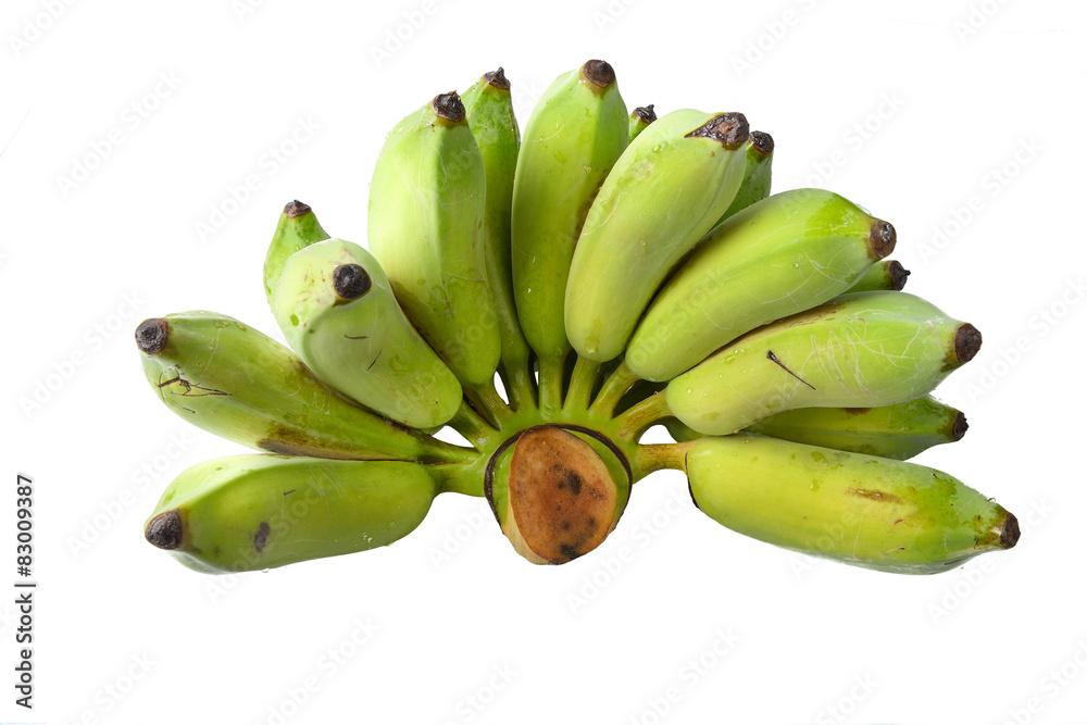 cultivated banana
