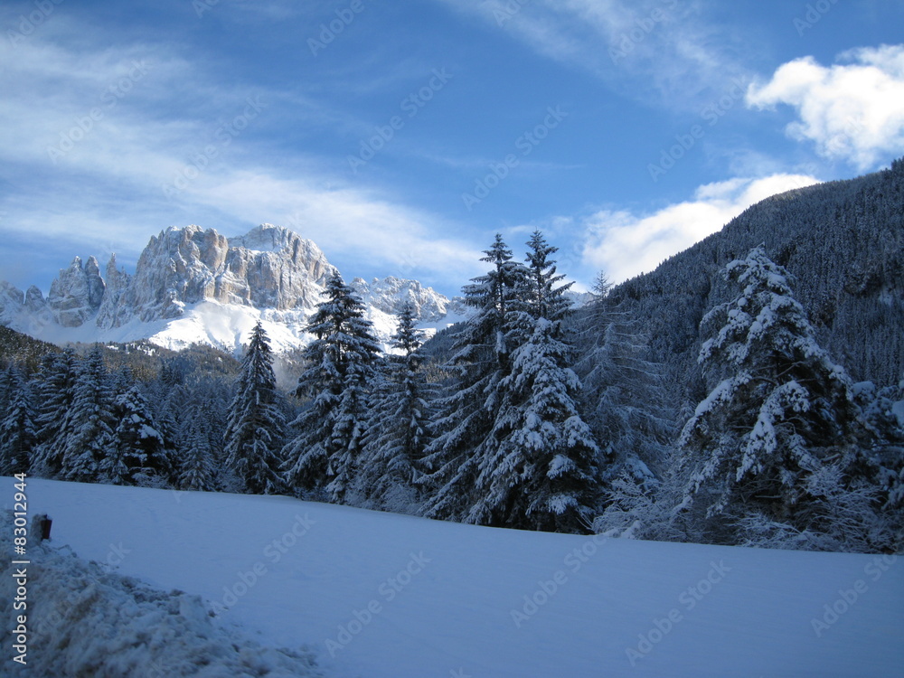 Carezza lake Carezza lake