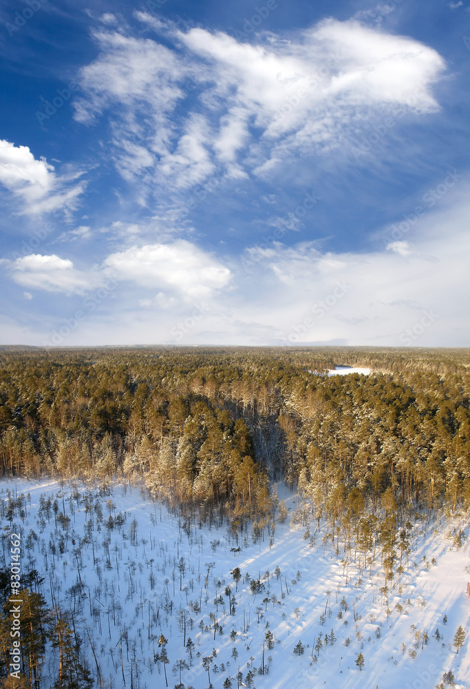 Aerial taiga