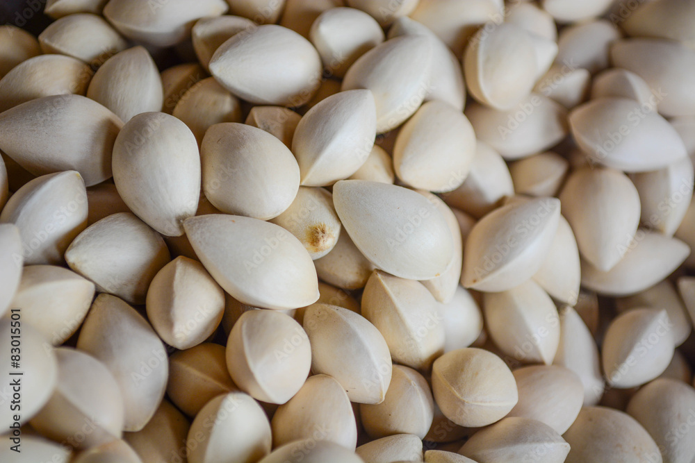 Ginkgo seed Ginkgo seed