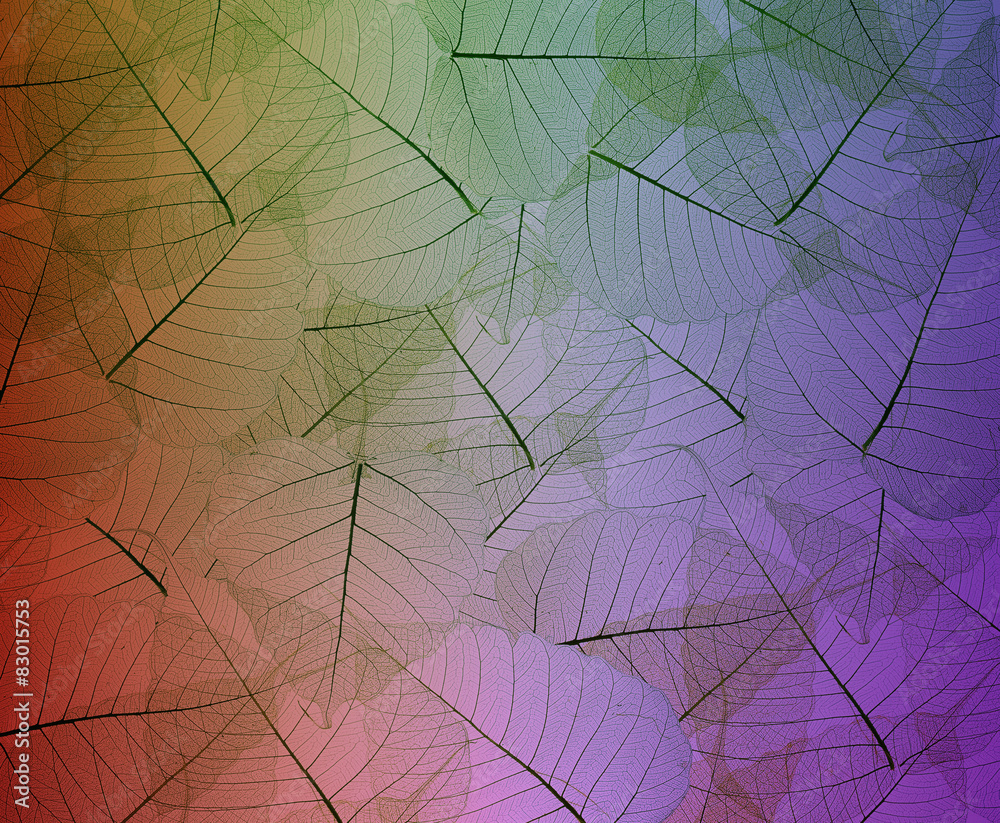 leaves texture background leaves texture background