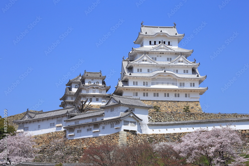 Himeji Castle and cherry blossom