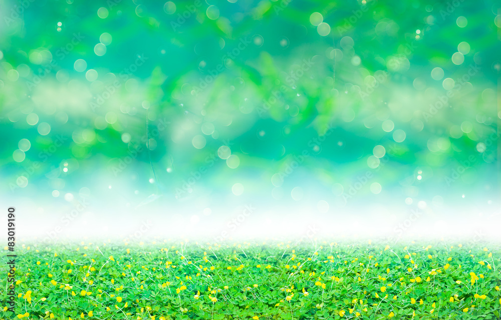 Obraz premium Green clover and yellow blossom under blurred bokeh abstract fro