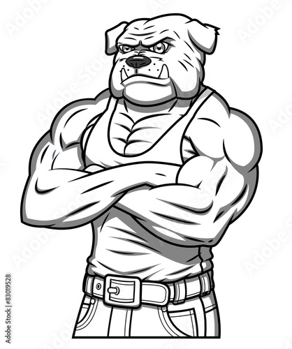 Strong muscle aggressive bulldog 2