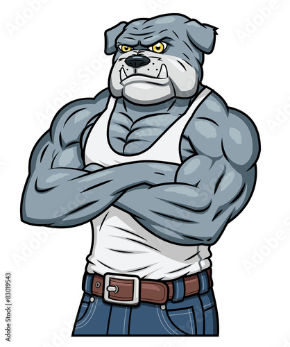 Strong muscle aggressive bulldog