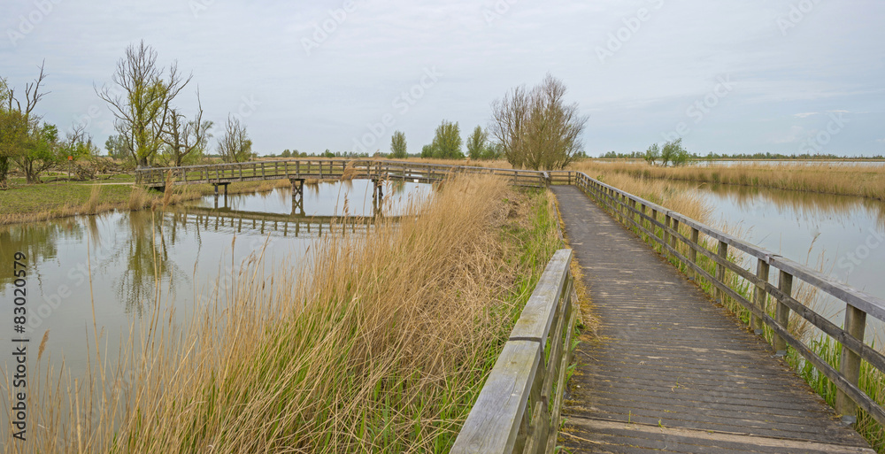 Fototapeta premium Wooden bridge over a river in spring