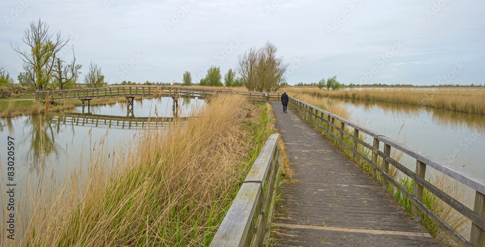 Wooden bridge over a river in spring