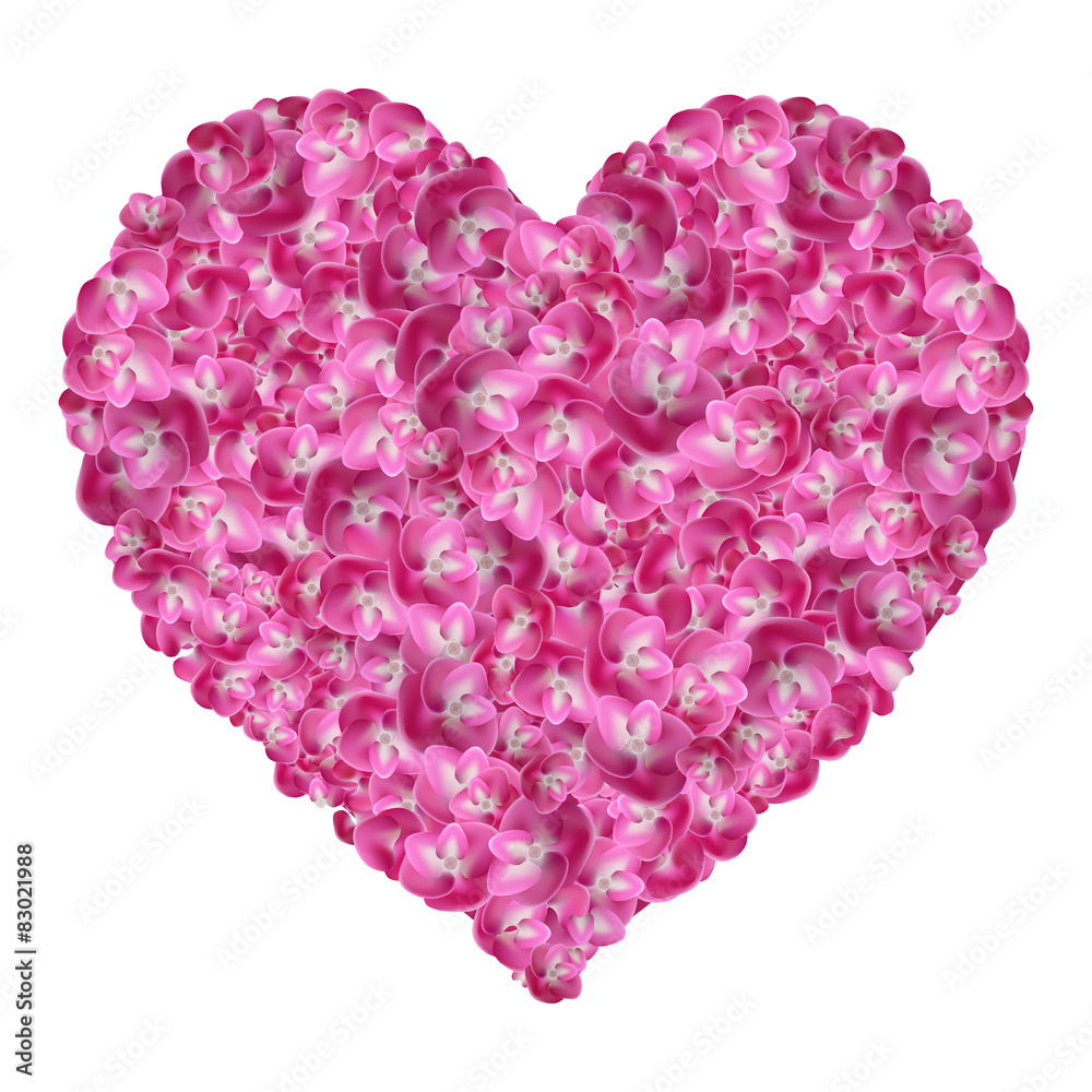 Heart of Flowers Hydrangea Isolated