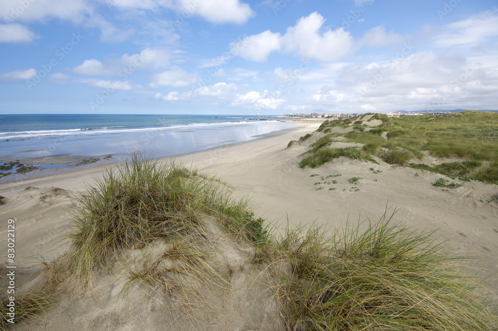 Dune and beach on the north of Portugal Dune and beach on the north of Portugal