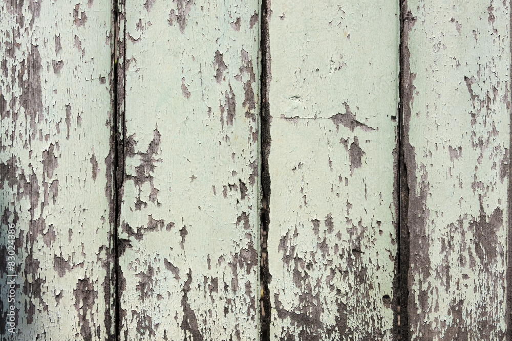 Old green paint on wooden door background