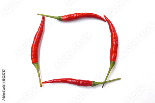 Red chili frame on white background