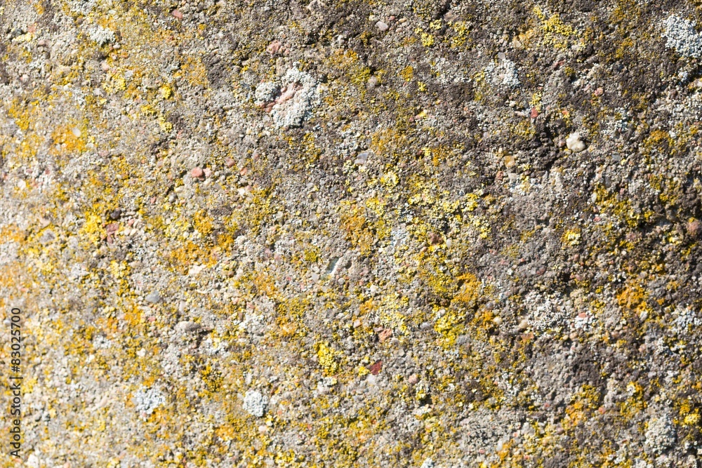 Old destroyed concrete wall background Old destroyed concrete wall background