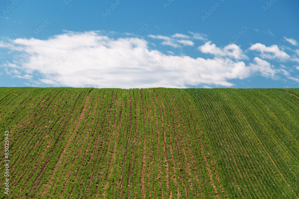 Landschaft Landwirtschaft