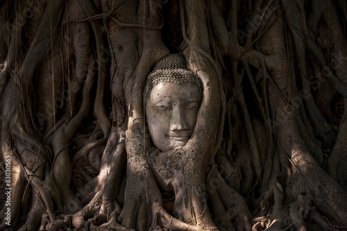 Buddha's head in tree roots © shirophoto