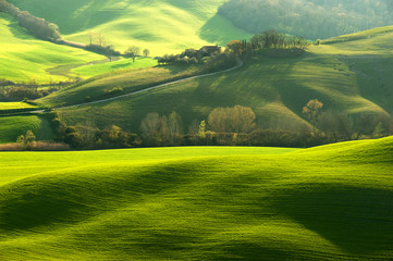 Keuken achterwand Toscane Groen Toscaans veld met lange schaduwen  © Jarek Pawlak