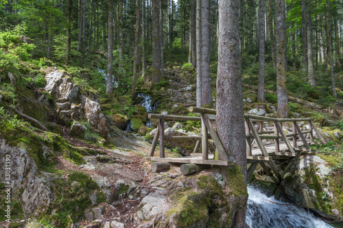 passerelle sur le ruisseau