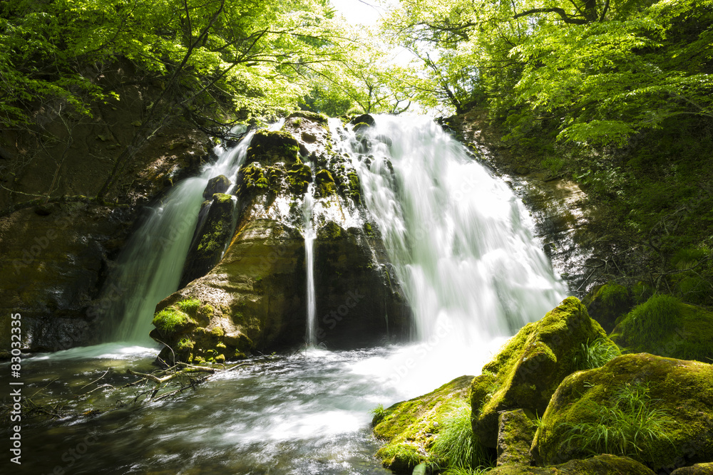 Fototapeta premium 名水の滝