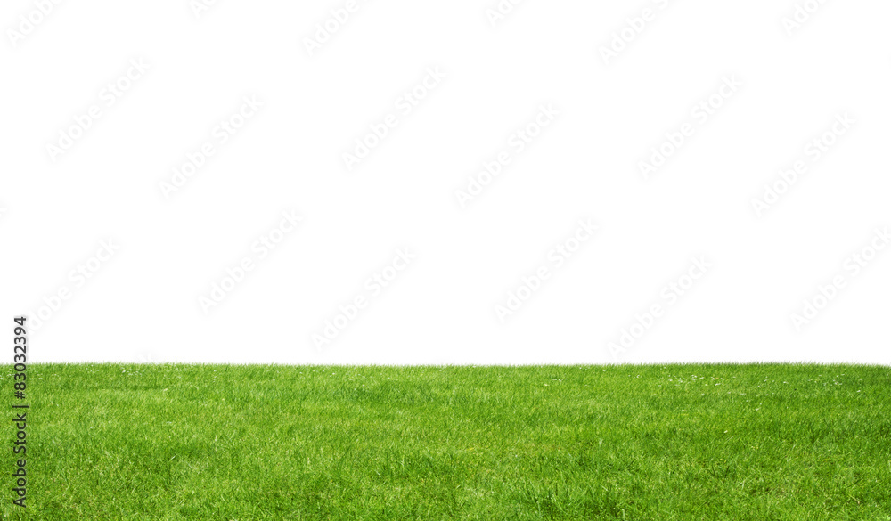 Naklejka premium Green field