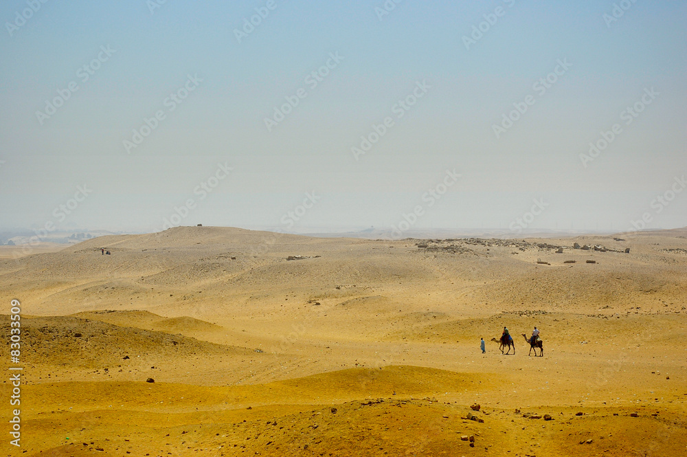 Bedouins with camels on Desert in Africa Bedouins with camels on Desert in Africa