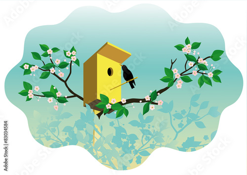 Spring picture starling and starling house