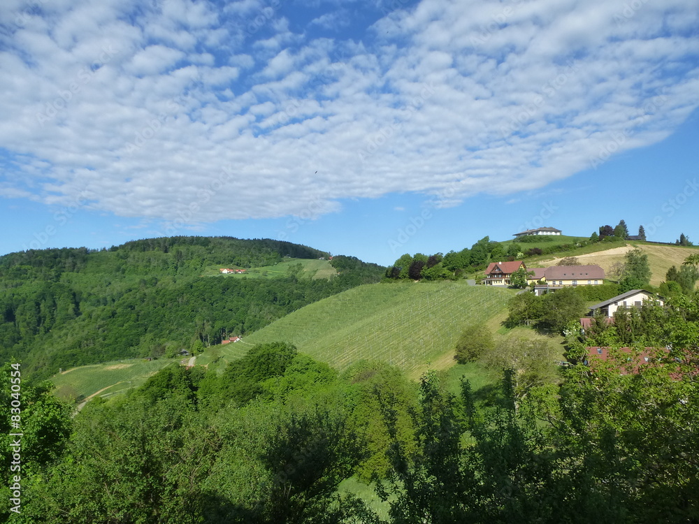 Frühling in der Südsteiermark