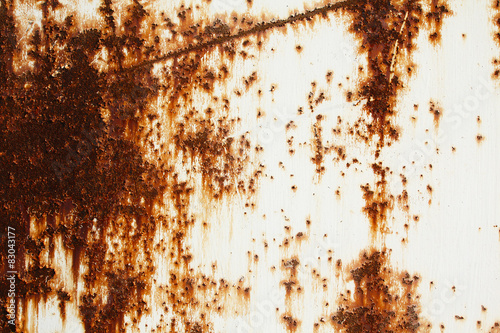 Canvas-taulu Rost und weiße Farbe
