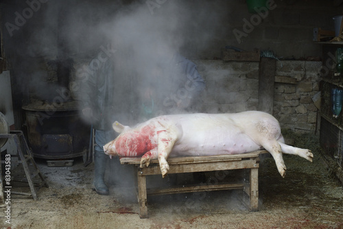 Plakat le cochon aveyron