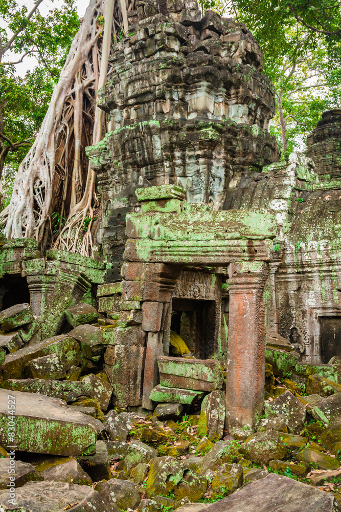 Ancient ruins in Ta Prohm or Rajavihara Temple at Angkor, Siem R Ancient ruins in Ta Prohm or Rajavihara Temple at Angkor, Siem R