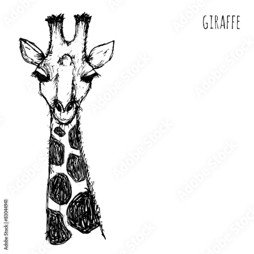  Black and white giraffe
