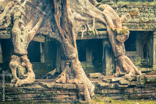 Tree root overgrowing parts of ancient Preah Khan Temple at angk photo