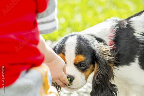 Obraz na plátně Kind mit Hund