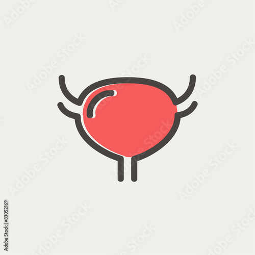 Uterus and ovaries thin line icon