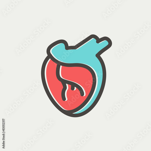 Human heart thin line icon