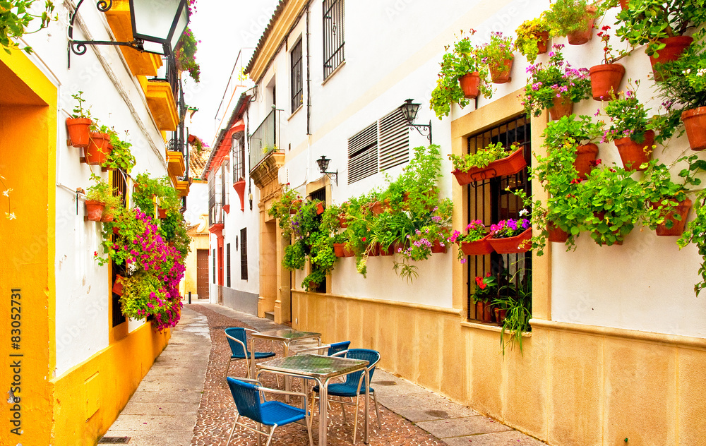 Obraz premium Patio in Cordoba, Spain 