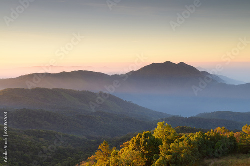 Mountain views timber and the mist.