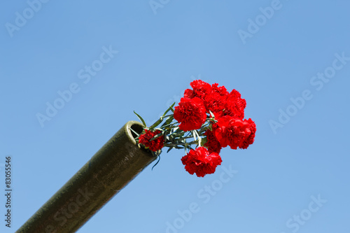 flowers in a gun trunk