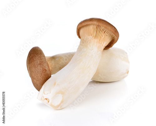 king oyster mushroom on white Background