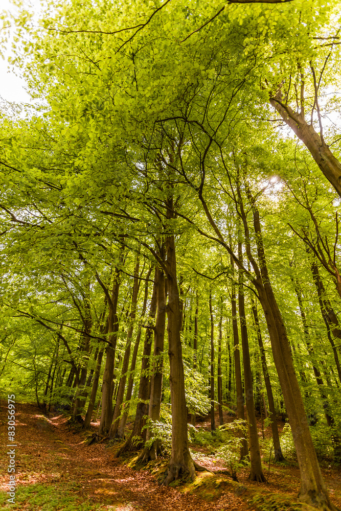 Obraz premium Naturschautzgebiet