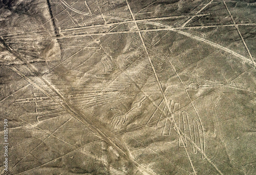  Geoglyphs and lines in the Nazca desert.  Peru photo