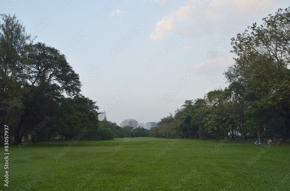 Bicycle on green grass field in big city park, Bangkok