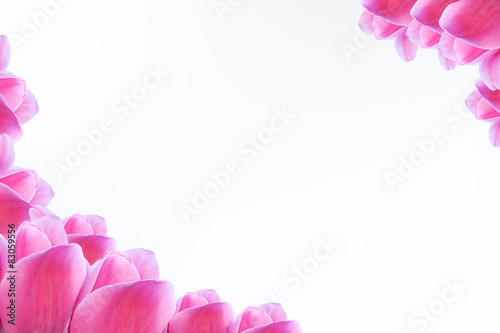 Рамка из нежных розовых тюльпанов