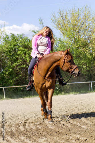 Beautiful girl riding a  purebred horse © V&P Photo Studio