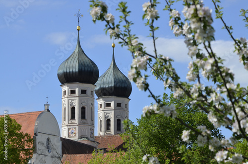 Wallpaper Mural Baumblüte beim Kloster Benediktbeuern Torontodigital.ca