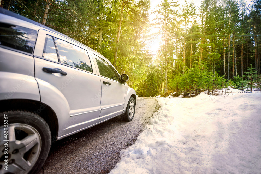 Car  in the forest road at sunset