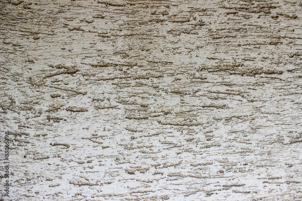 Obraz premium Facade texture