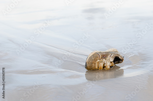 Stranded children sport shoe