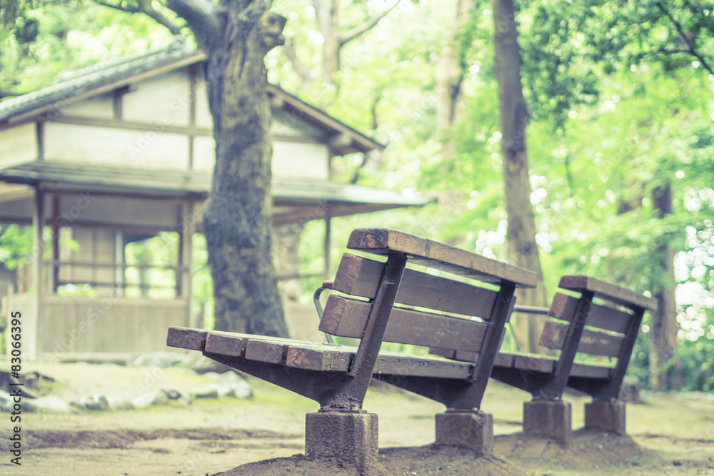 Scenery with the bench Scenery with the bench