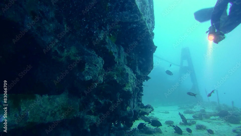 diver looks under the rail car of the wreck Thistlegorm diver looks under the rail car of the wreck Thistlegorm